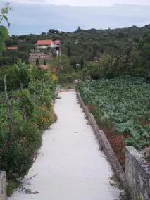 Apartment Darka A1 Mali Zman, Island Dugi otok - Image 5