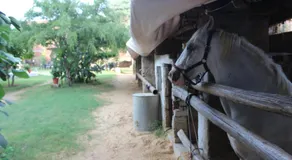 Shannu's Ranch Inn - Image 5