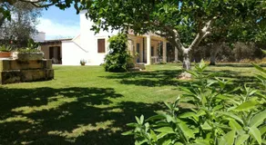 Masseria Vignenove - Image 3