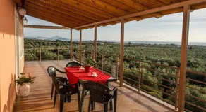 Cozy flats in an olive grove by the sandy beach - Image 3