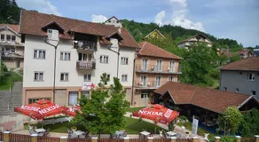 Atomski cvet Atomska banja Gornja Trepča - Image 3