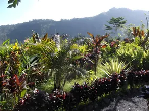 The Bukit Artha - Image 2