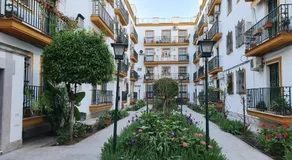 NOOL Sevilla - Image 3