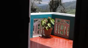 Cool Mount Guest - Image 3