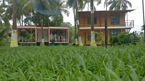Coconut Valley - Image 3