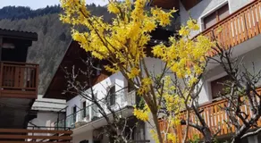 CASA MASCIA - Image 3