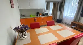 Family or Group Apartment in Silent Center - Image 4