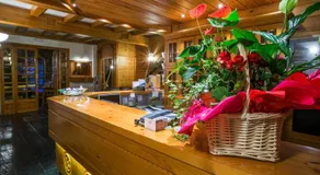 Hotel del Tarter - Image 4