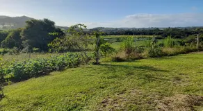 Casa de campo, sitio na natureza - Image 5