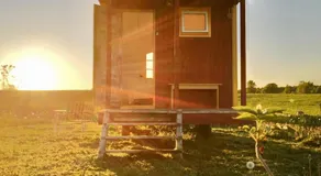 Gula Vagnen Nostalgi och natur i unik cirkusvagn - Image 5