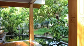 Tree Home Plus - Image 4