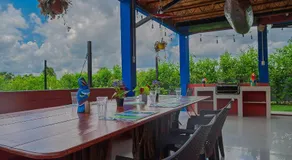 Guacamayo Azul - Image 3