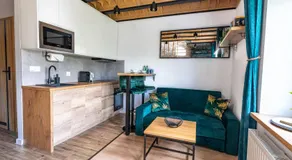 Apartamenty Yeti & Wilka w Centrum Chorzowa: Wilk - Image 4