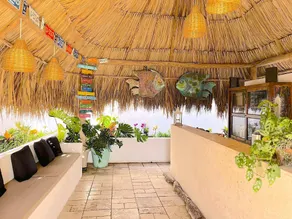 Aruba Lagunita - Image 2
