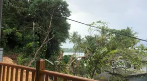 Jungle Beach Inn - Image 5