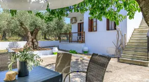 Skopelos Evergreen Apartments - Image 4