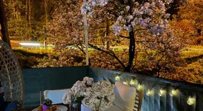Luxrem-DE 4 Apartments - Image 3