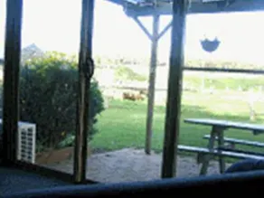 Sunflowers Animal Farm and Farmstay Guest House - Image 5