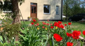 Excelent apartment with garden and free parking - Image 4