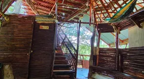Hospedaje casa en el Árbol - Image 4