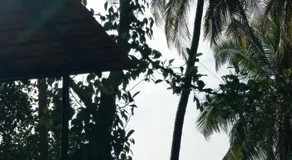 Konkan Kuteera Ayurgrama And Homestay - Image 5
