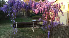 Rheola's Guest Cottage - Image 5
