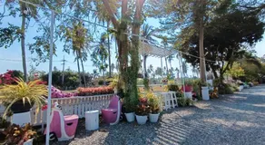 Saan Rak Resort - Image 4
