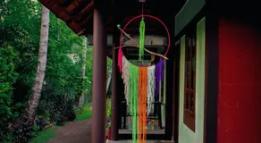 Munroe Paradise - Image 5