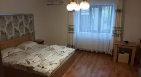 Casa Sviniceană - Image 2