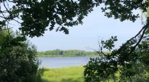 Tree-tent overlooking lake in private woodland - Image 3