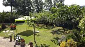 B&B L'Albero Di Antonia - Image 5