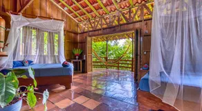Selva Bananito Lodge - Image 2