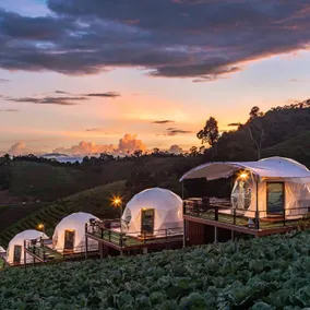 The View Homestay Monjam เดอะวิว โฮมสเตย์ม่อนแจ่ม - Image 4