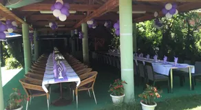Bed & Breakfast Karavan - Image 5