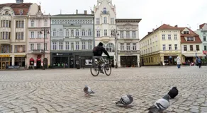 Apartamenty Batorego 2 - Stary Rynek - Image 4