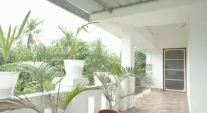 Willy's Home Stay - Image 4