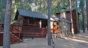 Squirrel's Nest - Image 5