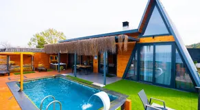 Palmera suit - Image 3