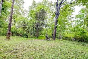 Jungle Lodges And Resorts- Sakrebyle Elephant Camp - Image 3