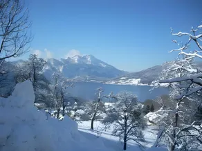 Attersee-Chalet Angermann Familie Spalt - Image 3