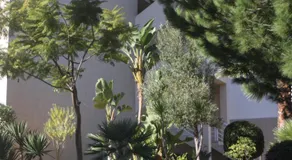 Albufeira Lovely new Apartment W/ Pool - Image 5