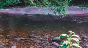Sombra do baú - Image 3