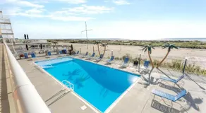 427 E Miami Ave, Unit 204 - Image 5