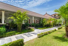 Tropical Palm - Image 4