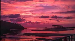 Om Paradise at turtle beach - Image 3