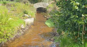 LES ROULOTTES DU MOULIN - Image 4