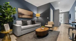 Vibras Wellness - Image 2