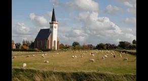 Texelzon - Image 4