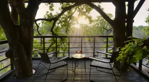 Pugdundee safaris - Pench Tree Lodge - Image 5