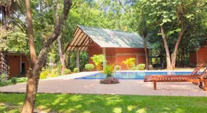 Villa viverra - Image 3
